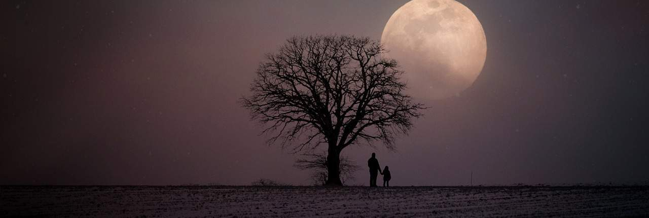 A romantic and tranquil wide-panoramic image featuring a lone leafless tree in a snow-covered field under a night sky. A large, full moon illuminates a silhouette of two figures, one adult and one child, standing close to the tree, suggesting a quiet moment of connection in a vast, open landscape.